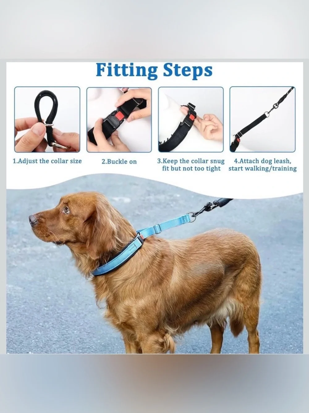 Mayerzon No Pull Dog Collar, Patented Martingale Collar for Small Medium Large D